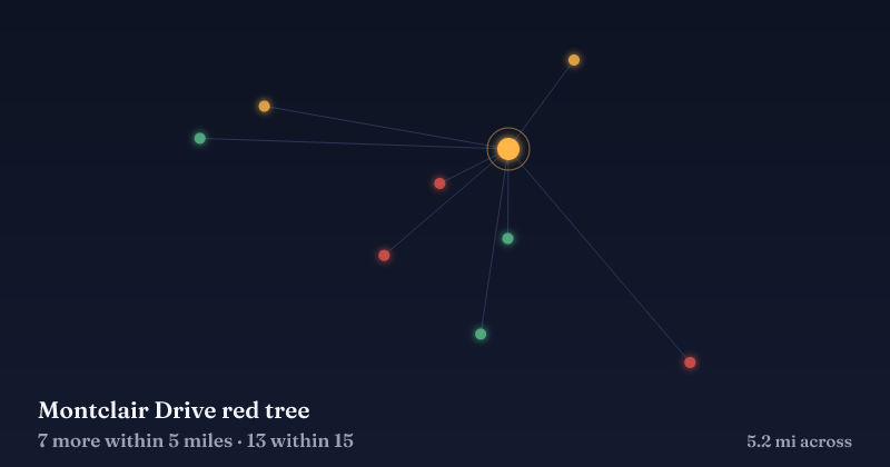 Map of Montclair Drive red tree and the 13 other Christmas light displays within 15 miles